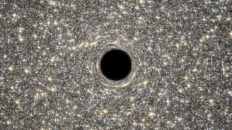 Black Holes