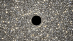 Black Holes